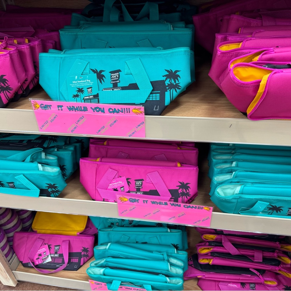 COPY - NWT - Trader Joe’s mini insulated bag